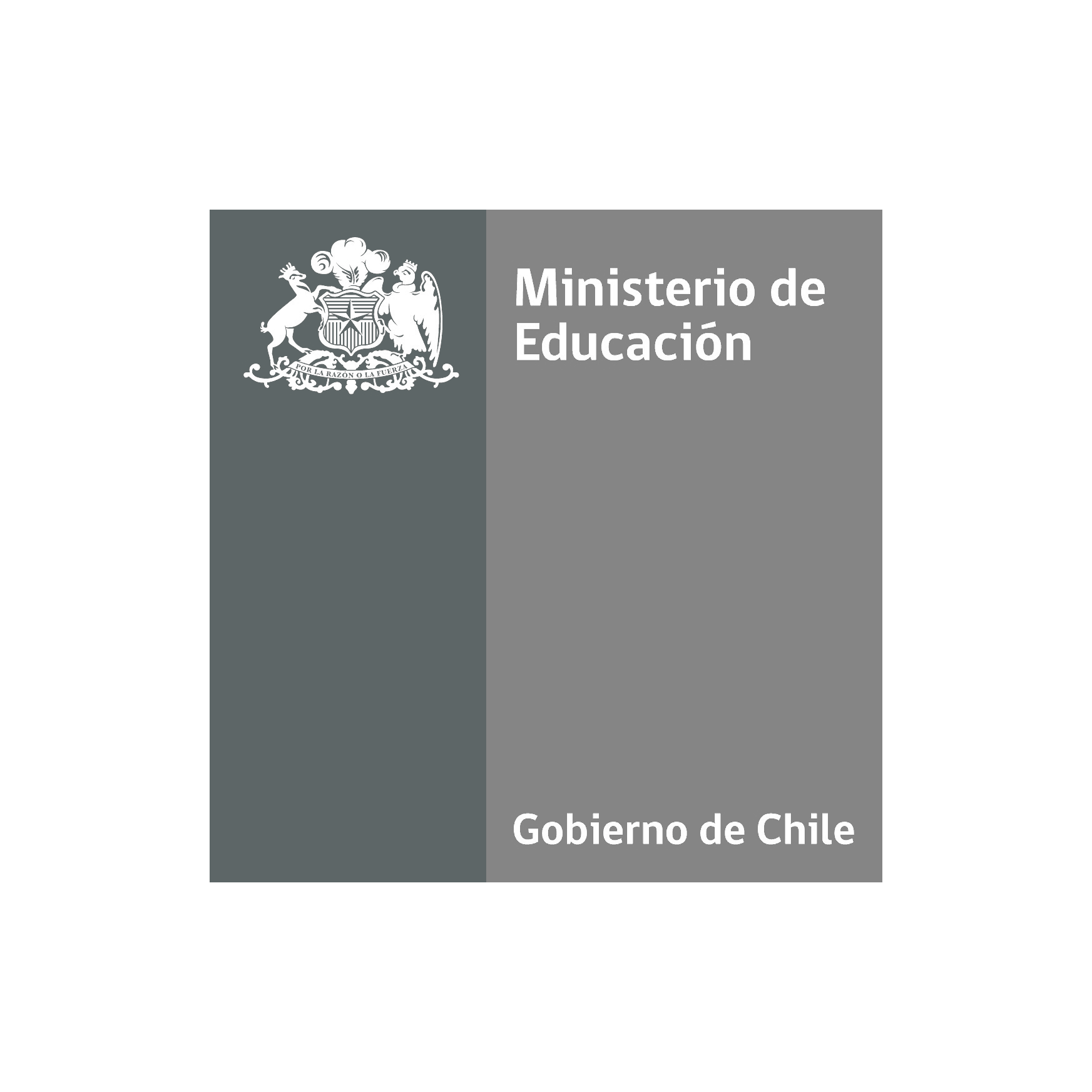 Ministerio de Educación de Chile - Cliente DOCODE